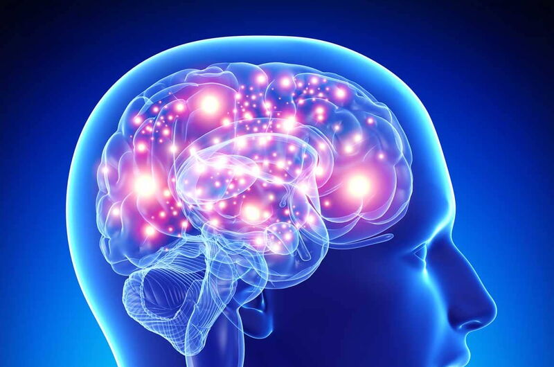 Pregnenolon – die Mutter aller Steroide